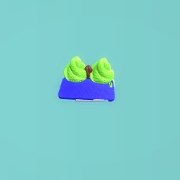 Island