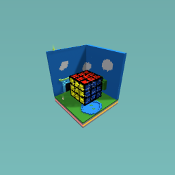 Rubiks cube