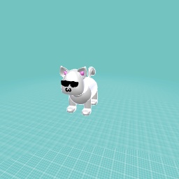 Cool cat