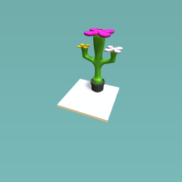 Flowery cactus