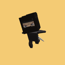 ninja