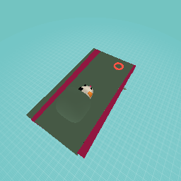 Hamster or guinea pig