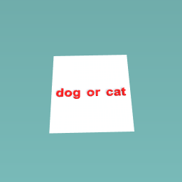 dog or cat