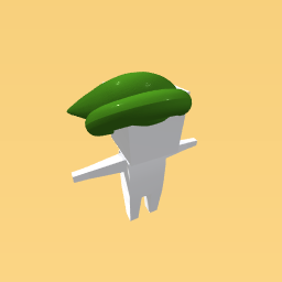 Link’s hat