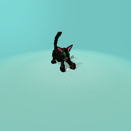 Playful Black Cat