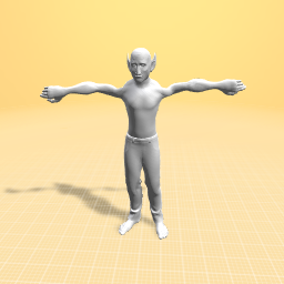 T pose 3
