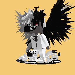 Im a assian and im a assasin