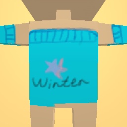 Winter clothes (top)