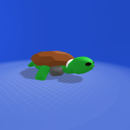 Timid Turtle