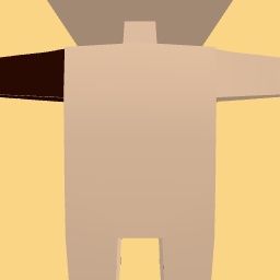 new costume