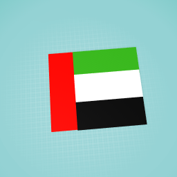 UAE flag