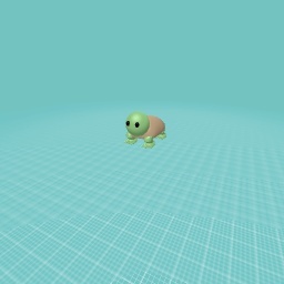 turtle