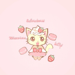 Sutoroberri Macaron Kitty!