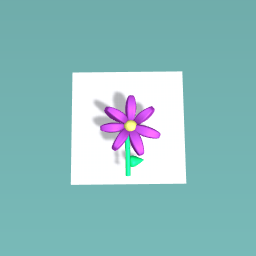 leen's flower