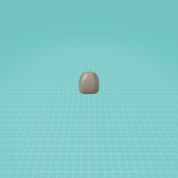 Pet rock