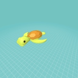 Turtle