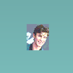 Shawn Mendes