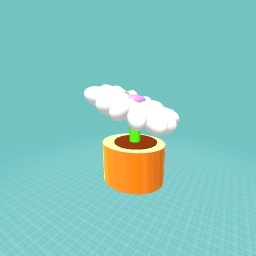 Cloudflower