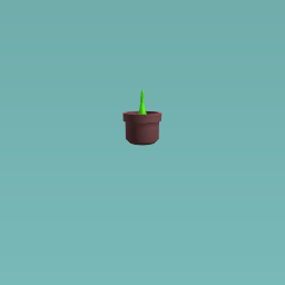 my little plant