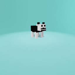 panda bear