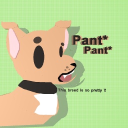 Staffodire bullterrier