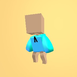 Aqua Sweatshirt