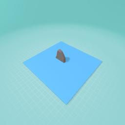 THERE’S A SHARK IN THE WATER!!!