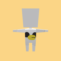 new costume
