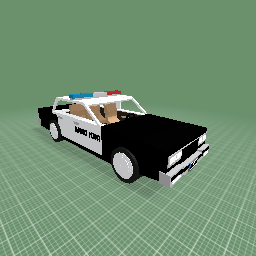Police car
