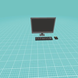 Computer