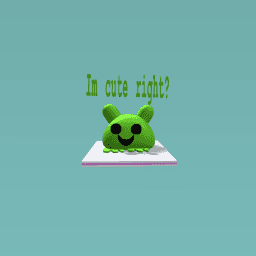 A cute frog