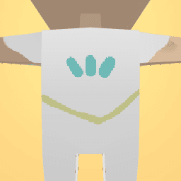 new costume