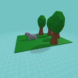 a cat in the garden