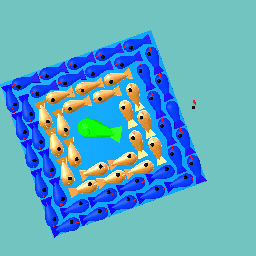 fish fish fish fish fish fish