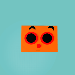 NEW FACE