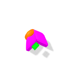 fly bone