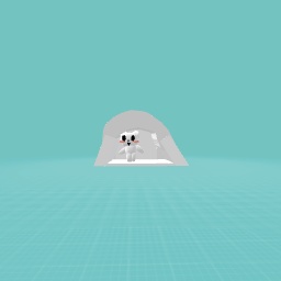 Polar bear
