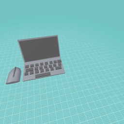 Laptop and mouse