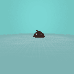 Poo