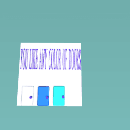 COLOR OF DOORS