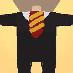 Harry potter outfit( seiris 1 outfit 2