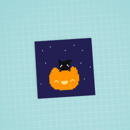 jack o lantern and kitty cat