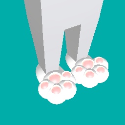 White Paw Slippers