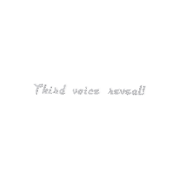 Third voice reveal!!
