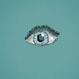 THE EYE