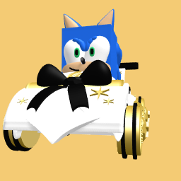 Sonics new ride