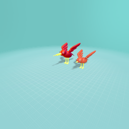 Birds