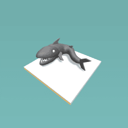 shark