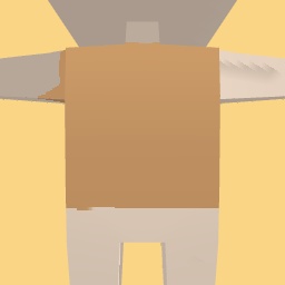 new costume