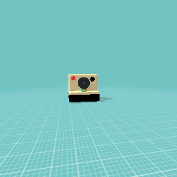 polaroid camera
